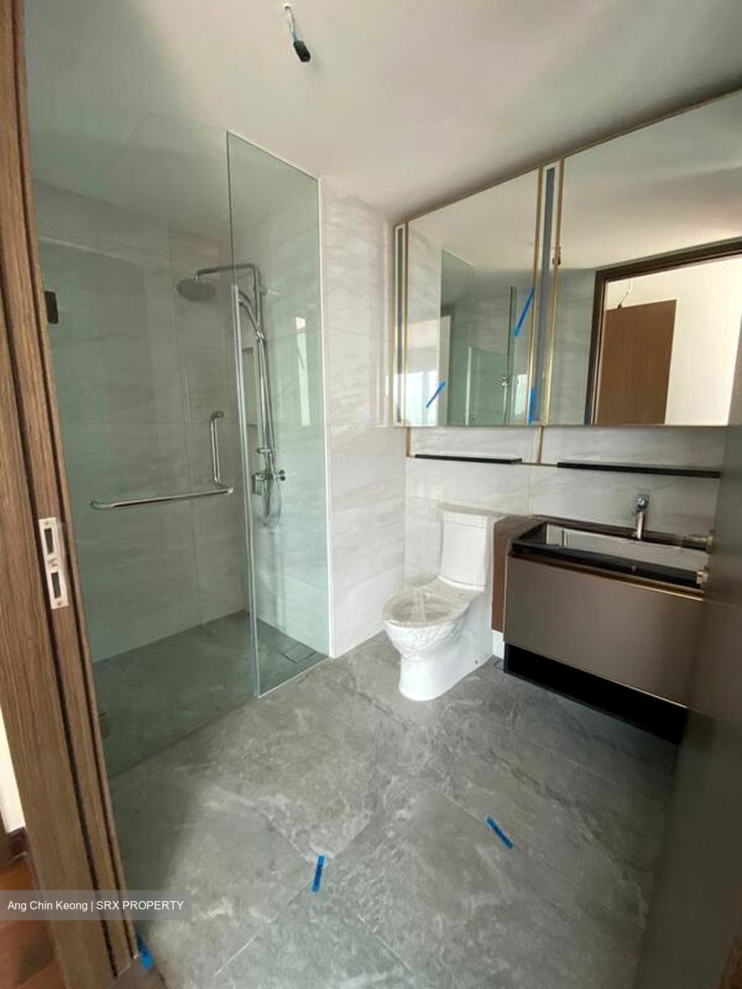 Normanton Park (D5), Apartment #566262551